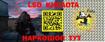 соль ск Сланцы