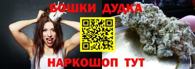 мдпв Славгород