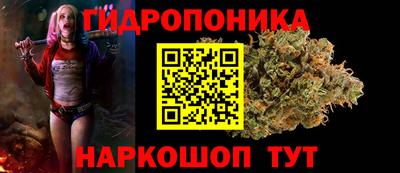 соль ск Сланцы