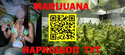 мдпв Славгород