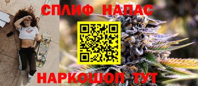 мдпв Славгород