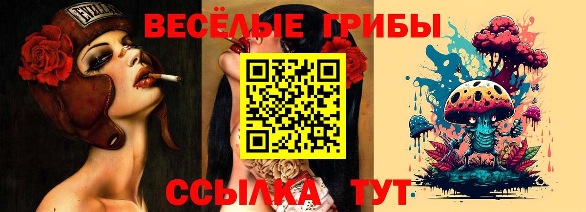 Осинники  Галлюциногенные грибы мицелий  Вход с VPN 